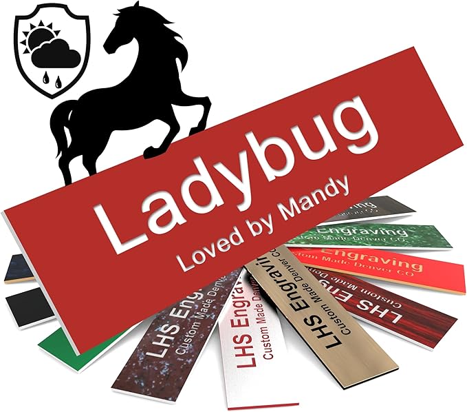 Personalized Horse Stall Name Plates, 2x6 Horse Stall Signs with Adhesive, All Weather UV Protected, Red Plastic White Letters - Made in USA - B7