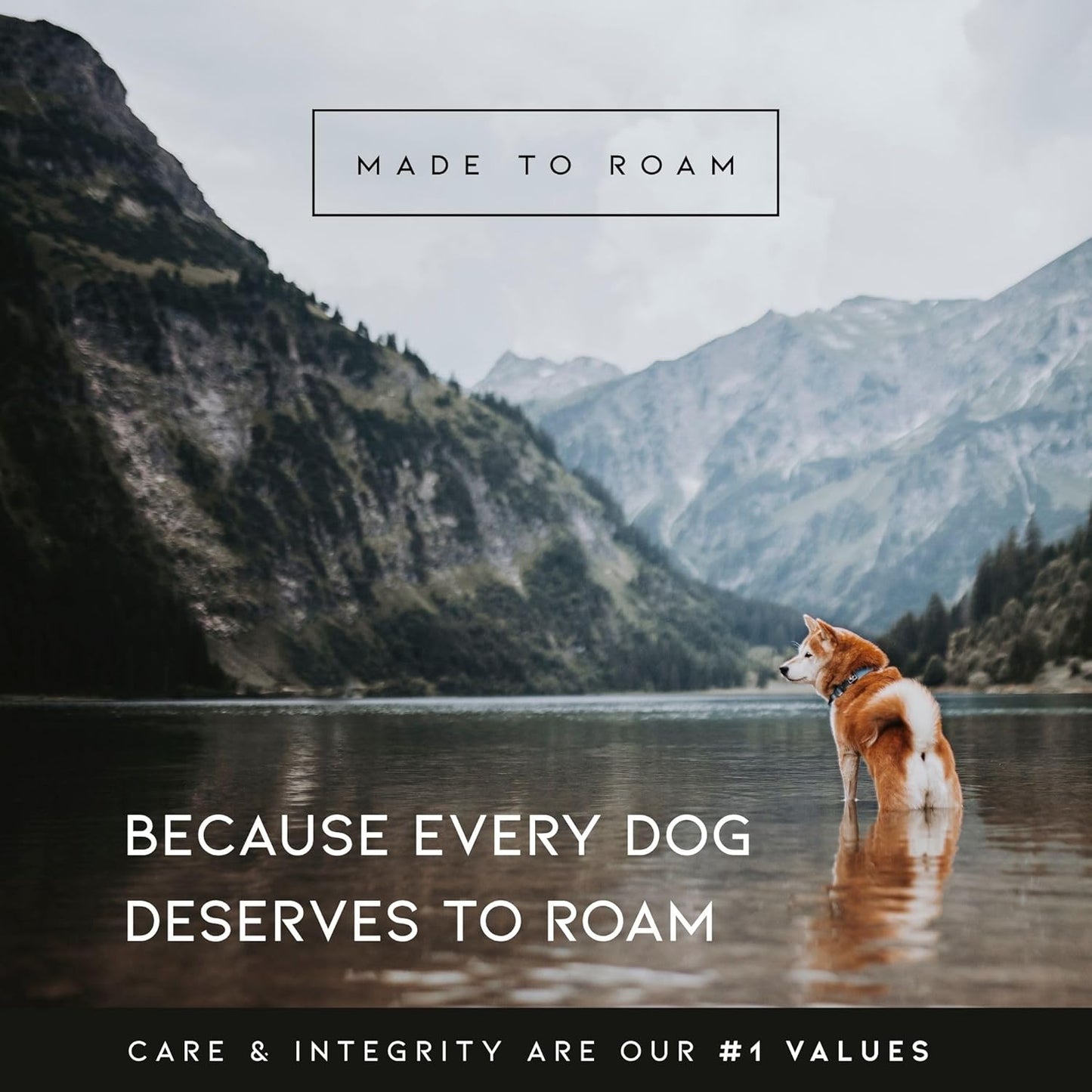 MADE TO ROAM Premium Explorer Harness - Y-Shaped Dog Harness with Adjustable Durable Nylon, Soft Padding, Metal Buckles and Leather Handle for Small, Medium, Large Dogs (Virginia Mountains, Size 1)