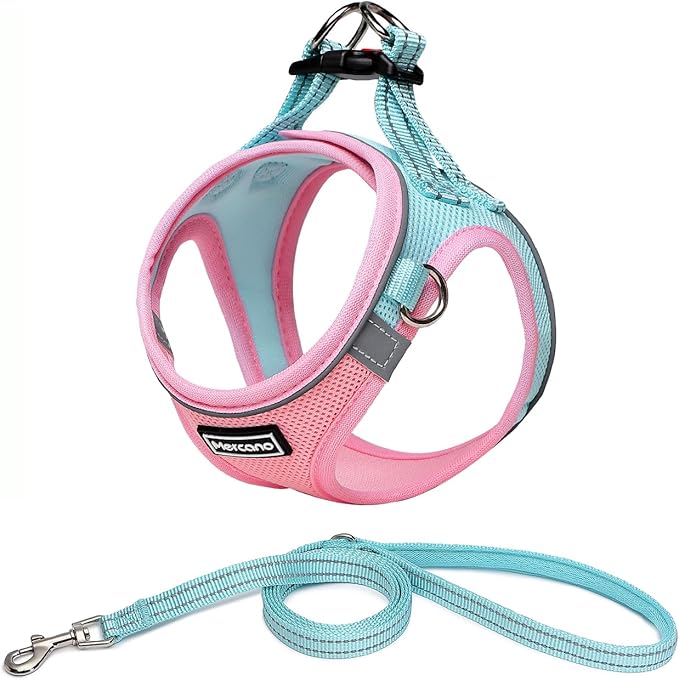Mercano Soft Mesh Dog Harness and Leash Set, No-Chock Step-in Reflective Breathable Lightweight Easy Walk Vest Harnesses with Safety Buckle for Small Dogs, Cats (L, Pink Blue)