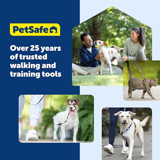 PetSafe Nylon Leash - Strong Nylon Dog Leash for Everyday Walks - Durable Pet Leash with Quick Attach Leash Clip - Comfortable Soft Grip - 6 Feet - Apple Green