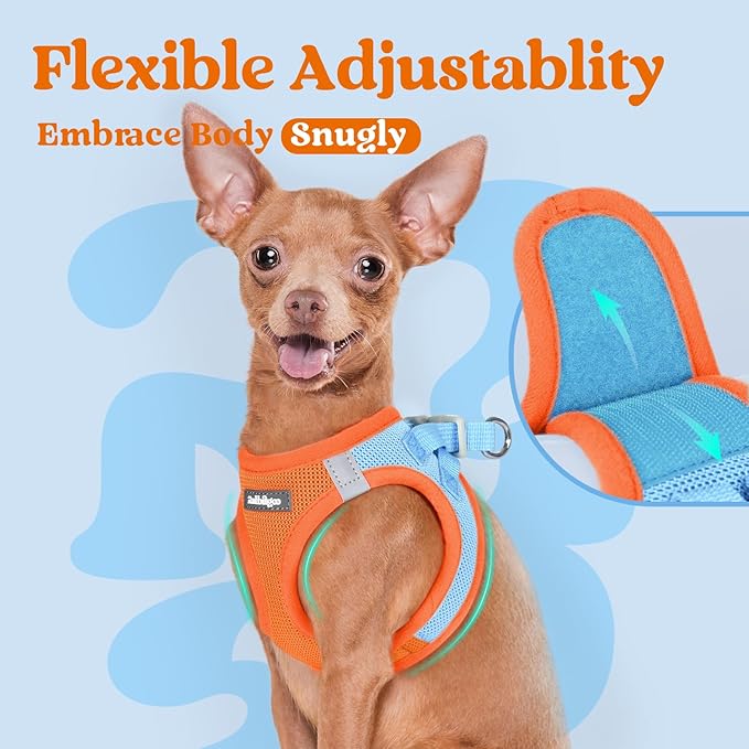 rabbitgoo Small Dog Harness, Step-in Soft Mesh Puppy Vest with Safety Buckle, Breathable Reflective Pet Harness for Extra Small Dogs, Blue & Orange XXXS