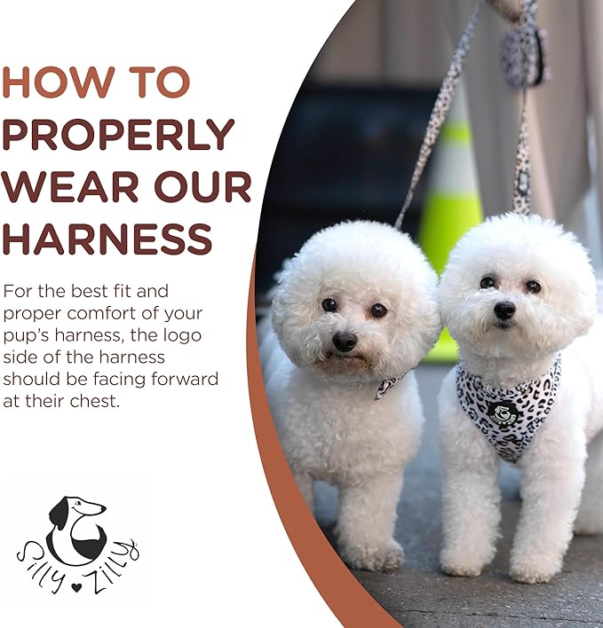 No Pull Harness and Leash Set - 6-in-1 Adjustable Vest Harness and Collars for Medium and Large Dogs. (Leopard, Medium)