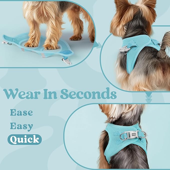 rabbitgoo Small Dog Harness, Step-in Soft Mesh Puppy Vest with Safety Buckle, Breathable Reflective Pet Harness for Large Dogs, Mint Blue XXL