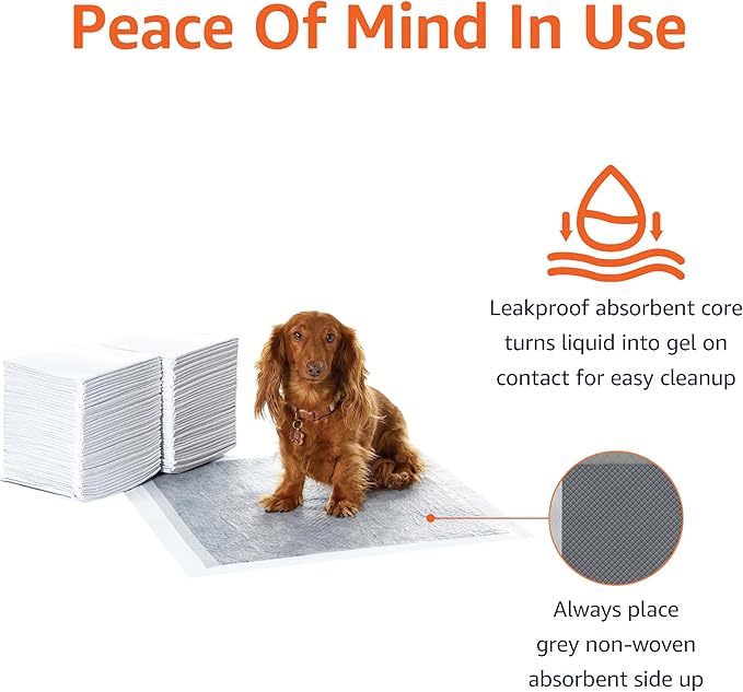Amazon Basics Carbon Odor Control Dog and Puppy Pee Pads, 5-Layer Leak-Proof Super Absorbent, Quick-Dry Surface for Potty Training, Regular Size 22"x22", Gray, 80 Count