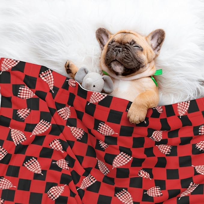 Two Sided Plush Pet Blanket for Crates Carriers Home Use, Red Black Buffalo Check Plaid Pattern, Reversible Throw with Cozy Dot Fabric and Silky Reverse for Small Large Pets