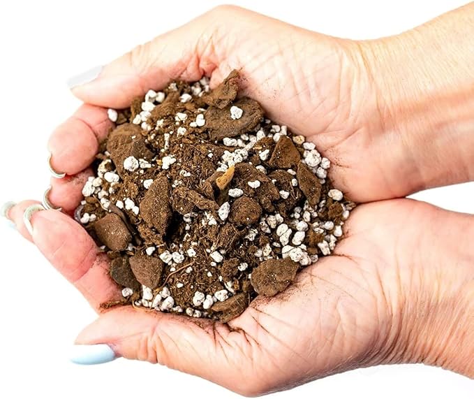 GARDENERA Premium Aloe Vera Potting Soil Mix - (2 Quart Bag)