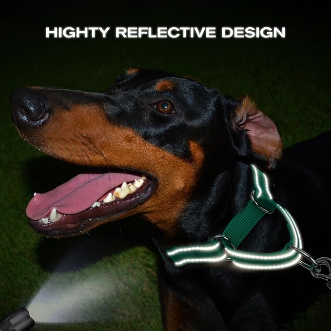 Joytale Martingale Collar for Dogs, Reflective Heavy Duty for Safety, Quick Release Buckle, Adjustable Nylon Collars for Medium Dogs Walking Training, Green,M