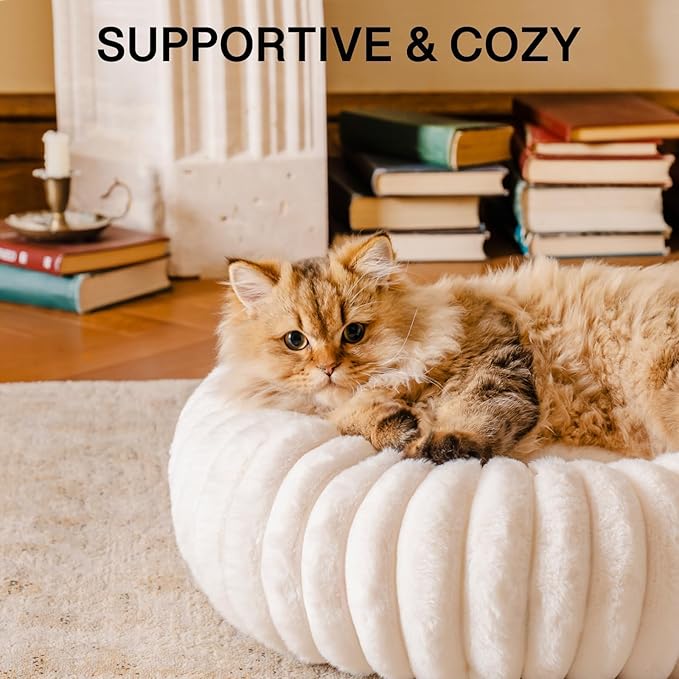 MEWOOFUN Donut Dog Beds for Small Dog, Calming Bed Round Cute Puppy Bed with Non-Slip Bottom, Fluffy Washable Pet Bed for Puppy and Kitten (Cream, S (25x25x7))