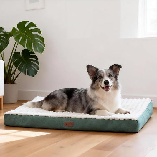 Orthopedic Dog Bed with Firm High-Density Egg Crate Foam,Soft Short Plush Surface Pet Beds,Machine Washable with Removable Cover & Non-Slip Bottom for Medium & Large Breeds (Green, 35"L x 22"W x 3"H)