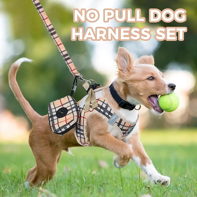 PAWCHIE Dog Harness and Leash Set, Step in No Pull Soft Pet Harness, Reflective Adjustable Puppy Vest for Small Medium Dogs Cats, No Choke Harness Vest with Poop Bag Holder for Walking,Running,Beige M