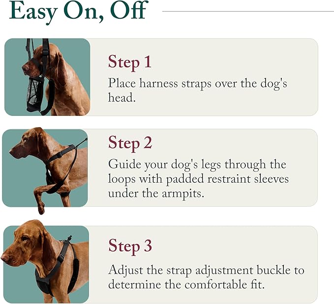 Sporn No Pull Dog Harness, Durable Nylon Mesh Harness for Small Dogs, No Choke Design, Padded Restraint Sleeves, Adjustable Fit, Easy On/Off, Ideal for Small Breeds, Blue