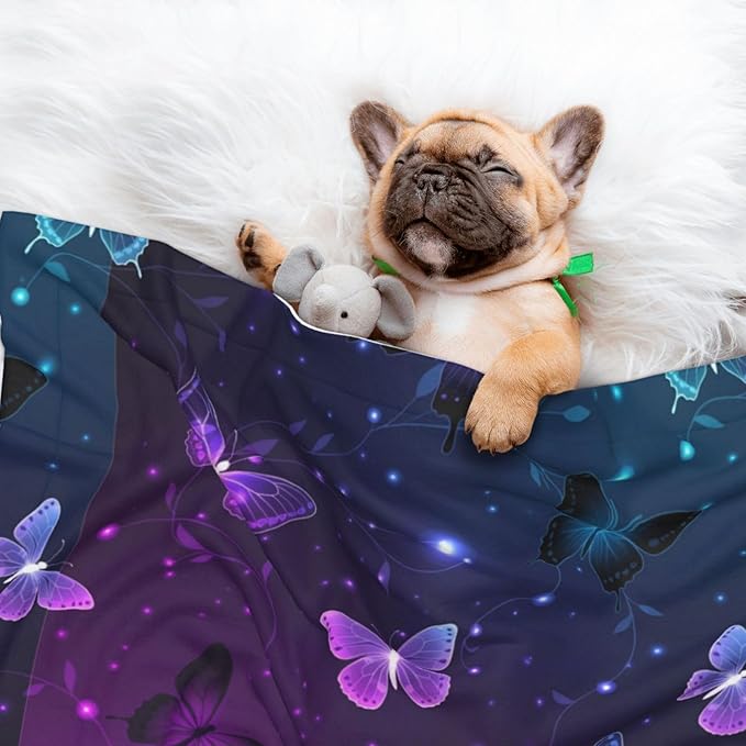 Pet Blanket for Travel and Home, Background with Night Butterflies, Reversible Plush Dot Design with Soft Grip Texture on One Side Perfect for Car Seats Moving Vehicles
