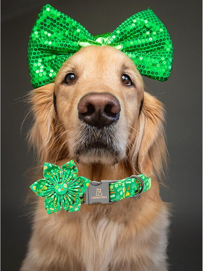 Lionheart glory St. Patrick's Day Dog Collar with Flower Dog Collars for Medium Dogs, Heavy Duty Green Collars Bows Lucky Clover Shamrock Pet Collar Flower Puppy