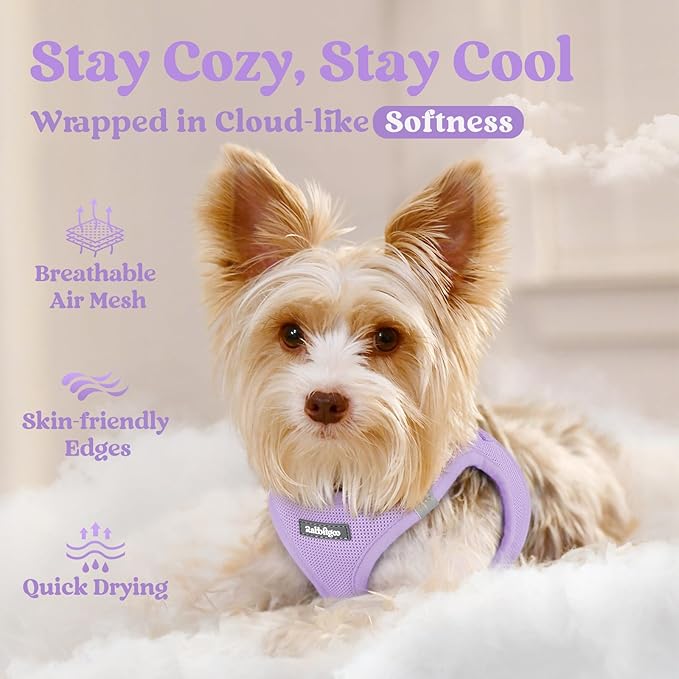 rabbitgoo Small Dog Harness, Step-in Soft Mesh Puppy Vest with Safety Buckle, Breathable Reflective Pet Harness for Small Medium Dogs, Light Purple XL