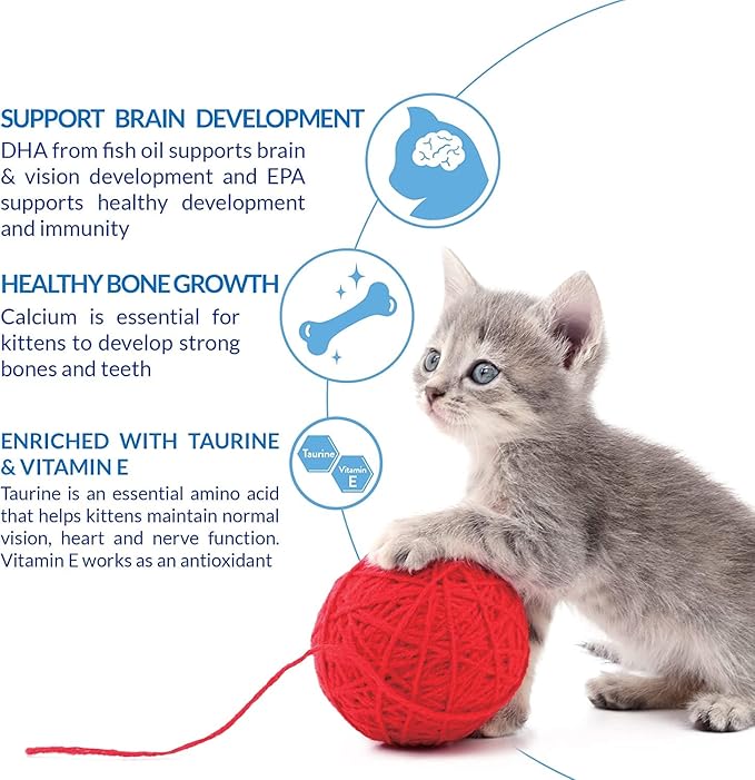 INABA Churu for Kittens, Grain-Free Creamy, Purée Lickable Cat Treats with DHA, EPA, Vitamin E & Taurine, 0.5 Ounces Each, 48 Tubes (4 per Pack), Tuna Recipe