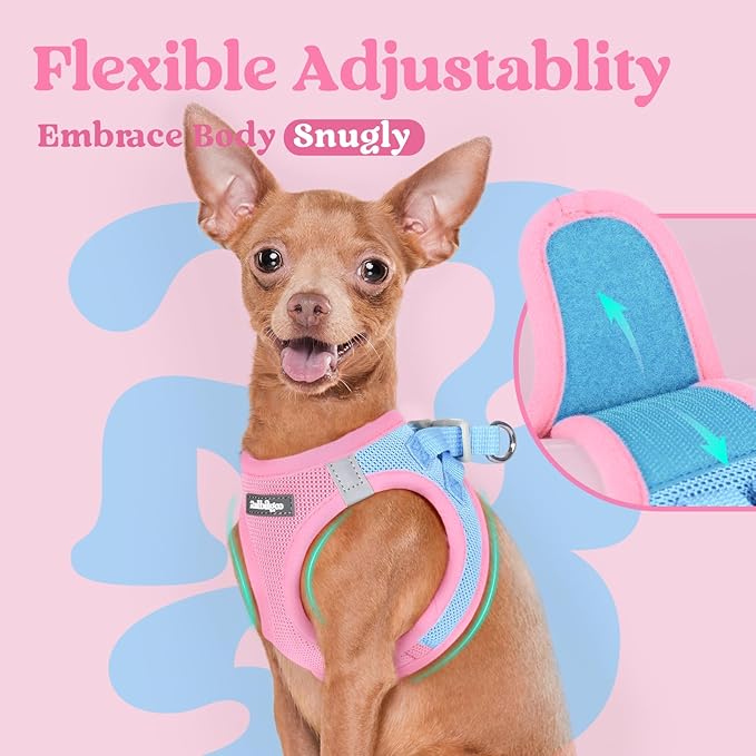 rabbitgoo Small Dog Harness, Step-in Soft Mesh Puppy Vest with Safety Buckle, Breathable Reflective Pet Harness for Small Sized Dogs, Blue & Light Pink M