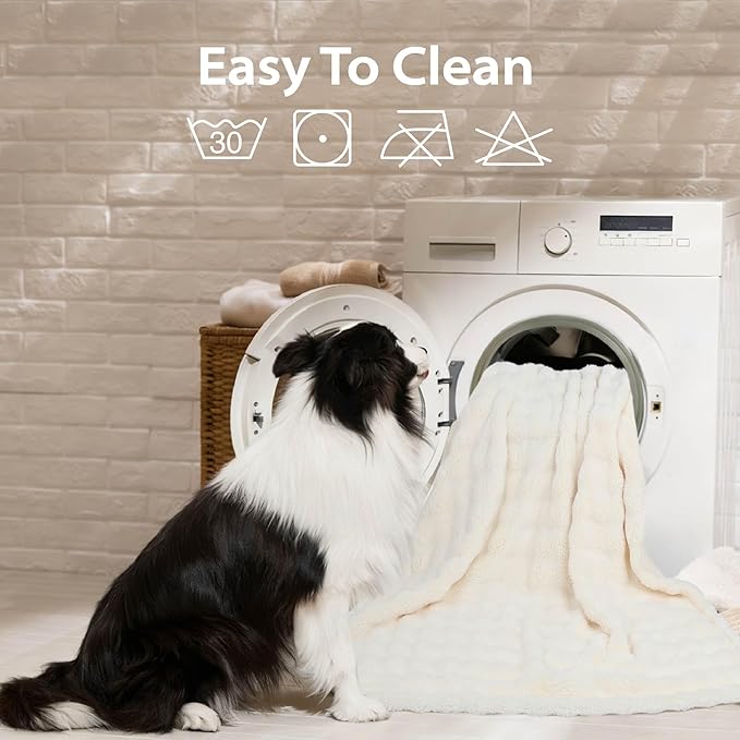 Dog Blankets Washable Pet Blanket - Fluffy Fuzzy Cat Puppy Blanket with Premium 300GSM 3D Fleece Bubble for Pet Kitten Doggy, Cream, 25x35IN