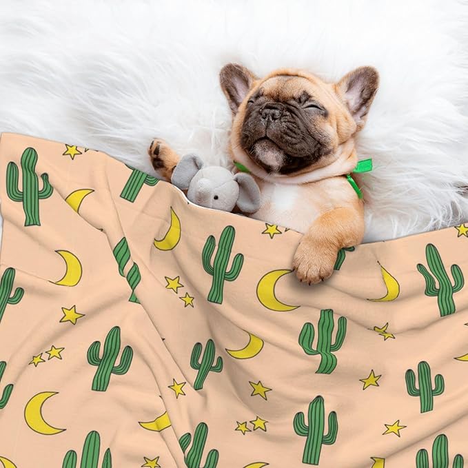 Double Sided Pet Mat for Dog Bed Topper Cat Blanket Furniture Protector, Cactuses Moon, Reversible Plush with Tactile Dot Pattern for Style Change