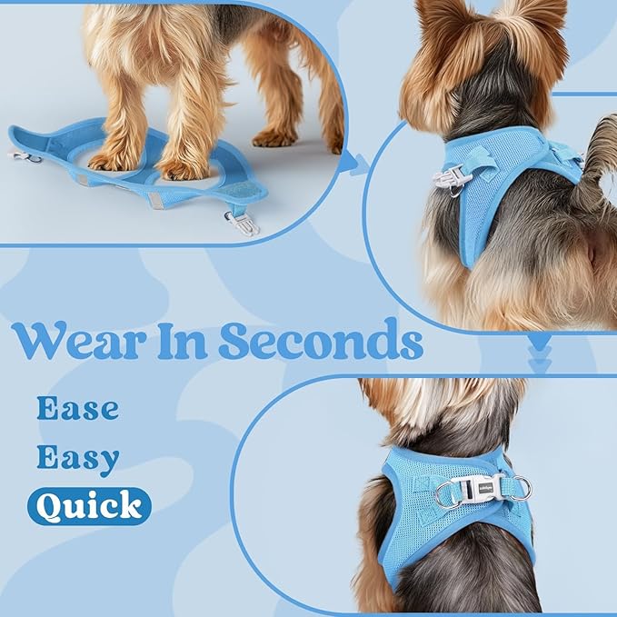 rabbitgoo Small Dog Harness, Step-in Soft Mesh Puppy Vest with Safety Buckle, Breathable Reflective Pet Harness for Small Sized Dogs, Blue XS