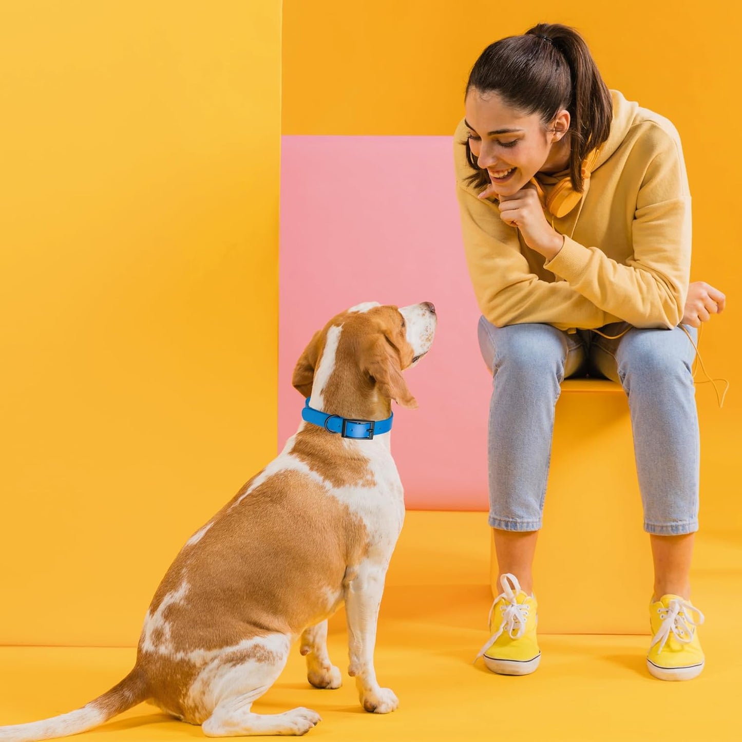Dogline Biothane Waterproof Dog Collar Strong Coated Nylon Webbing with Black Hardware Odor- Proof for Easy Care Easy to Clean High Performance Fits Small Medium or Large Dogs, Cerulean Blue