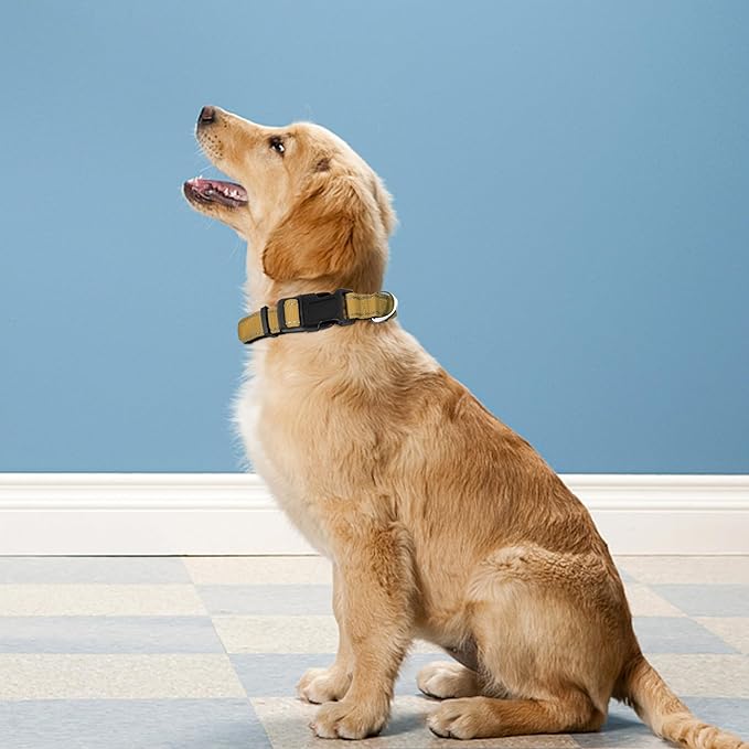 Reflective Dog Collar, Adjustable Soft Neoprene Padded Nylon Pet Collars with Buckle for Puppy and Small Dogs, Cats, Khaki,XS