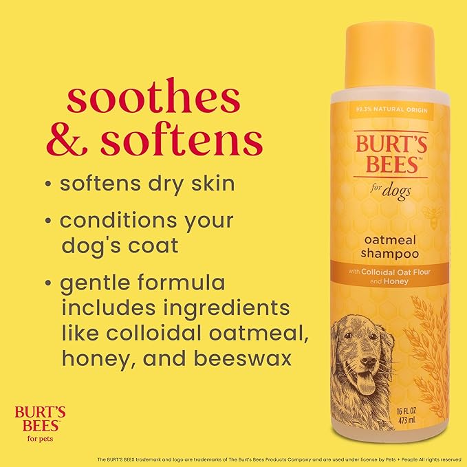 Burt’s Bees for Pets Oatmeal Dog Shampoo with Honey, Soothing Dog Shampoo for Itchy and Sensitive Skin, pH Balanced Formula that Gently Cleans and Moisturizes Dog Coats, 16 Fl Oz - 6 Pack