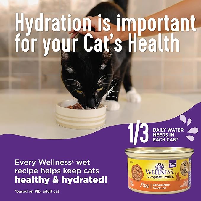 Wellness Complete Health Pate Adult Wet Cat Food, Natural, Protein-Rich, Grain Free, 5.5 Ounce, 24 Pack, (Chicken & Herring)