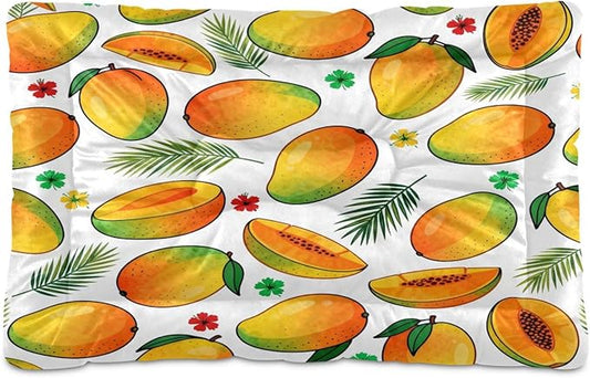 Mango Fruit Dog Beds Crate Pad Washable Pet Mat for Dogs Cats, Non-Slip Travel Bed Pad, Indoor Outdoor Kennel Pad 36x24in