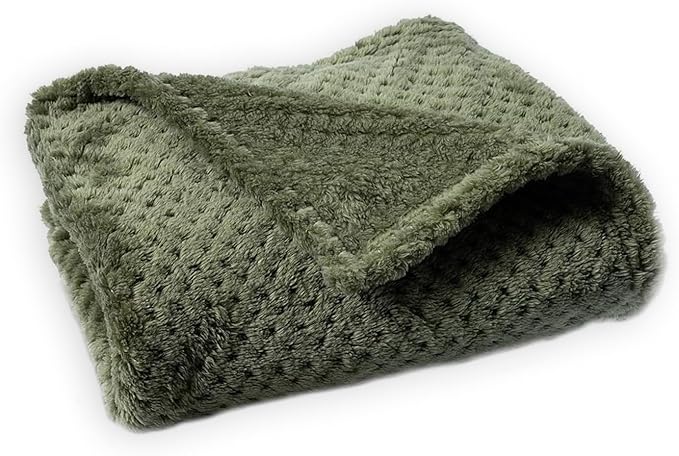 Pet Blanket Warm Soft Dog Blankets Washable Cat Throw Blankets Sofa Bed Couch Furniture Protector Cover for Small Medium Large Dogs Cats, Green, 24" x 31"