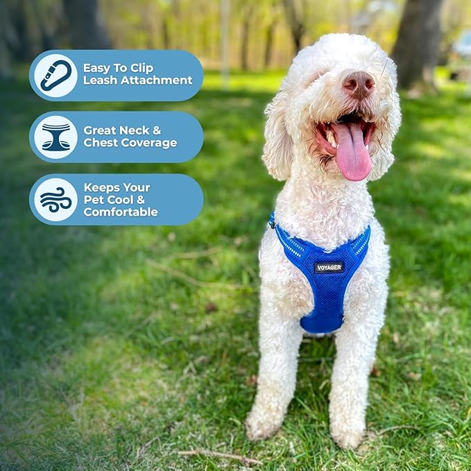 Best Pet Supplies Voyager Adjustable Step-in Flex Breathable Mesh Dog Harness for Small Medium Large Dogs Leash Set (Royal Blue), L
