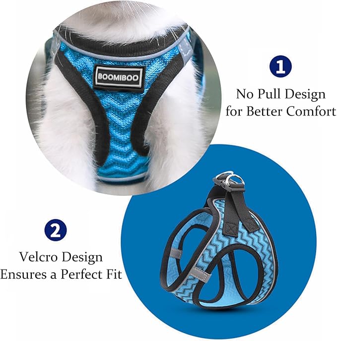 Dog Harness with Leash Set, No Pull Adjustable Reflective Step-in Puppy Pet Vest Harnesses for Small Medium Large Dogs and Cats,Red XL