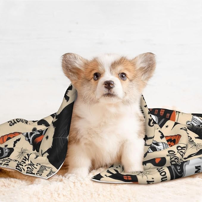 Double Sided Plush Pet Blanket with Cozy Dot Texture, Halloween Witchcraft Witch Pumpkin Spider Web Bat Raven Magic Board Spirit Skull Skeleton Vintage Black, Reversible for Dogs Cats on Couches Beds