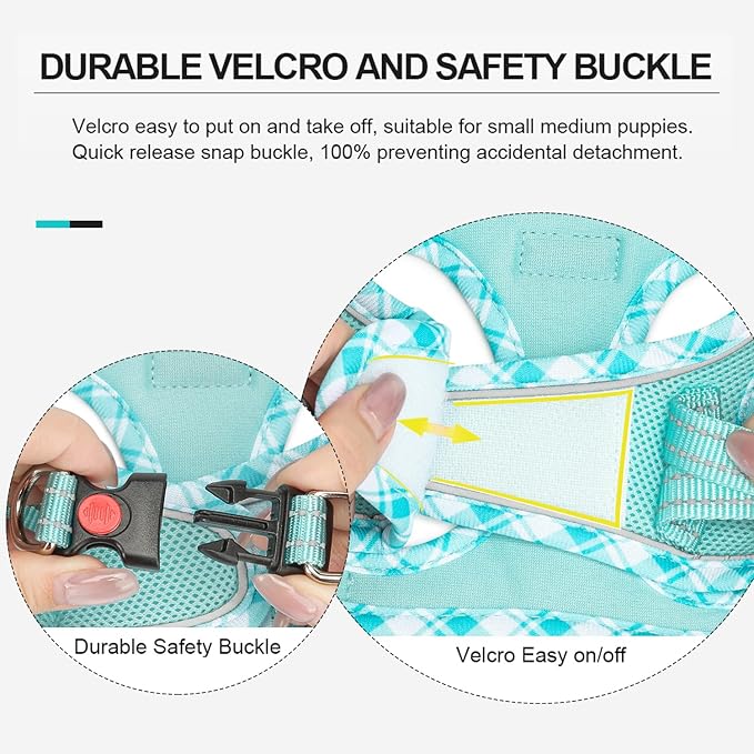 Mercano Soft Mesh Dog Harness and Leash Set, No-Chock Step-in Reflective Breathable Lightweight Easy Walk Vest Harnesses with Safety Buckle for Small Dogs, Cats (Light Blue, XS)