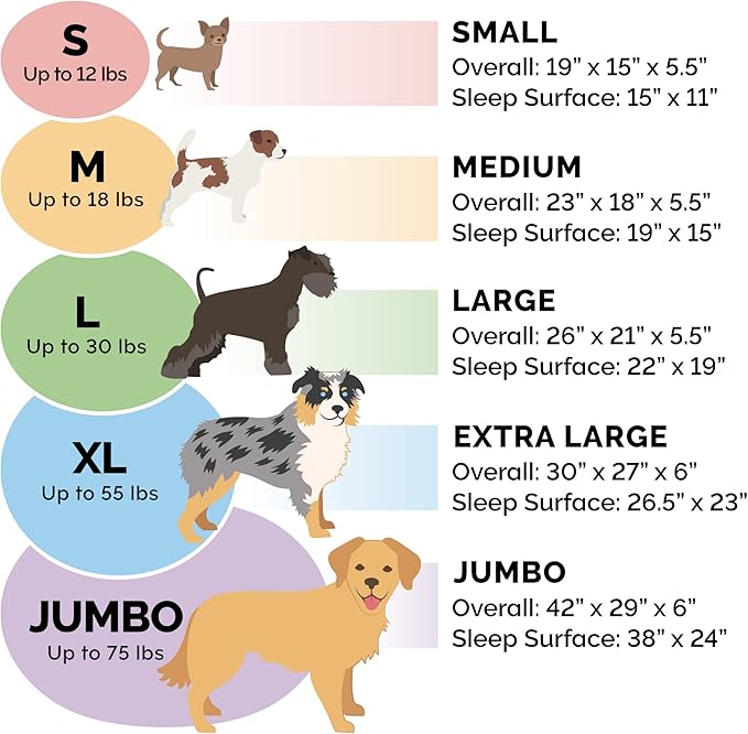 Furhaven Dog Bed for Large/Medium Dogs w/ Removable Washable Cover & Pillow Cushion Insert, For Dogs Up to 30 lbs - Ultra Plush Faux Fur Oval Lounger - Cream, Large