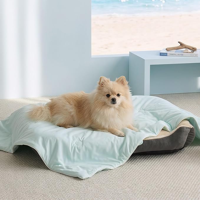 Soulbond Cooling Blanket for Extra Large Dogs - Q-MAX>0.45, Washable Cool Pet Cats Throw Blanket for Hot Weather, Self-Cooling Soft Dog Mat for Bed Crates Couch Sofa Cars(50"x60", Aqua Green)