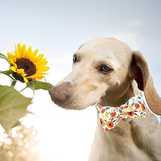 Lionheart glory Dog Collar Bow Collar Floral Dog Collar with Bow Tie Spring Summer Cute Collar Dog Boy or Girl Dog Collars Soft Durable Adjustable Dog Collars for Large Dogs