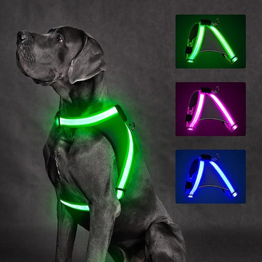 ChalkLit Light Up Dog Harness, No Pull Led Dog Harness Glow-in-The-Dark for Night Walking, USB Rechargeable Lighted Safety Vest for Medium Large Dogs, Adjustable Soft Mesh Fully Illuminated(Green, L)