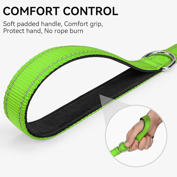 Joytale Dog Leash, 6 FT Double-Sided Reflective, Padded Handle Nylon Heavy Duty Leashes for Medium & Large Dogs Walking, Green