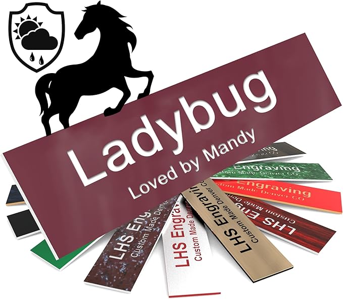 Horse Stall Name Plate, 2x12 Personalized Stall Signs, UV Protected, All Weather Adhesive, Hanging, Mounting or Other, Burgundy Plastic with White Letters - Made in USA - B26