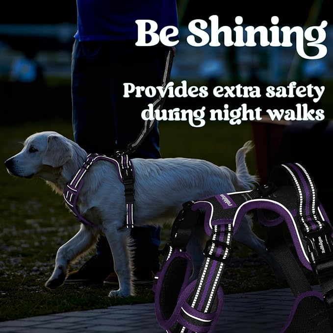 rabbitgoo Dog Harness for Large, No Pull Pet Harness with 3 Buckles, Adjustable Soft Padded Vest with Control Handle, Walking Reflective Pet Vest for Large Dogs, Black & Purple, L