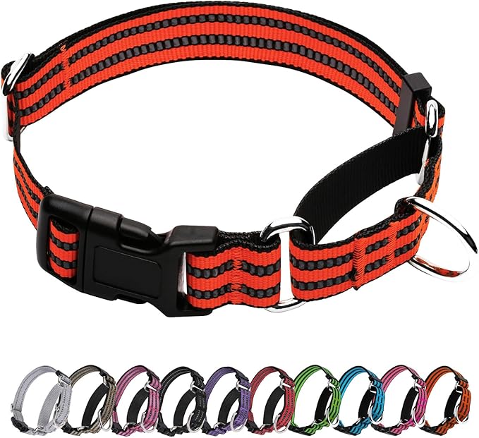 Martingale Dog Collar, Adjustable Nylon Reflective Collar with Quick Release Buckle (Bright Orange, Extra Large)