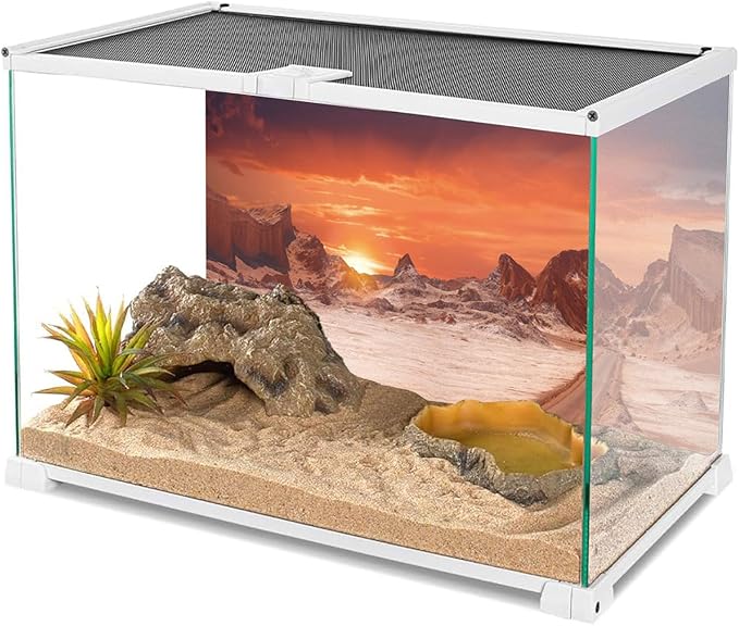 AWERT 30x18 inches Sun and Desert Terrarium Background Orange Reptile Habitat Background Durable Polyester Background