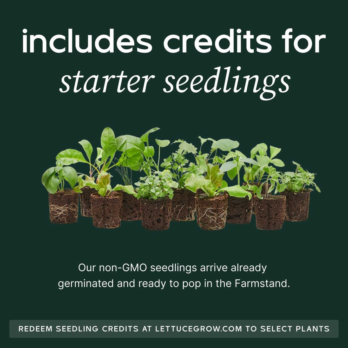 Farmstand Starter Kit with Glow Rings and 18 Seedling Credits | Small Hydroponic Growing System Kit | Vertical Garden Planter Tower | 4ft 3in Tall