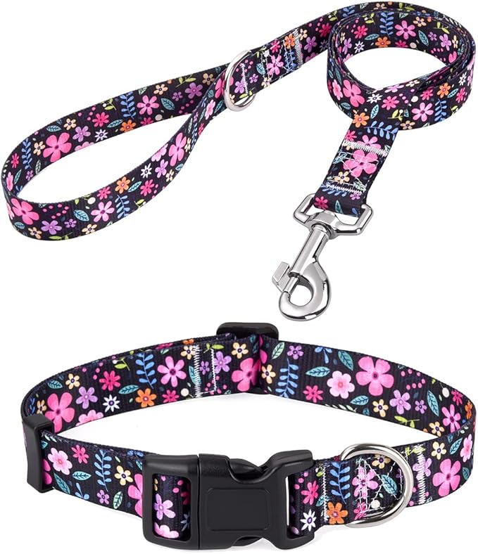 Dog Collar and Leash Set with Bohemia Floral Tribal Geometric Patterns - Soft Ethnic Style Collar Adjustable for Small Medium Large Dogs(Floral Set,M)