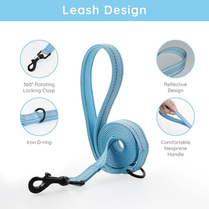 BELLA & PAL Step in Vest Harness for Small and Medium Dogs, No Pull Small Dog Harness with Leash Set, Comfortable Air Mesh Dog Vest Harness with Reflective Strip (Sky Blue, XXS)