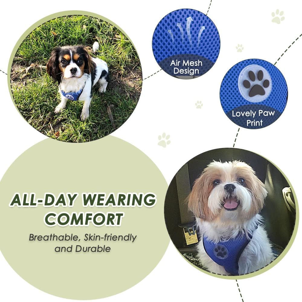 SlowTon Dog Seat Belt Harness for Car, Dog Car Harness Adjustable Mesh Breathable & Dog Seatbelt Safety Tether with Elastic Bungee for Small Medium Large Pets(Blue, Double Clip, XS)