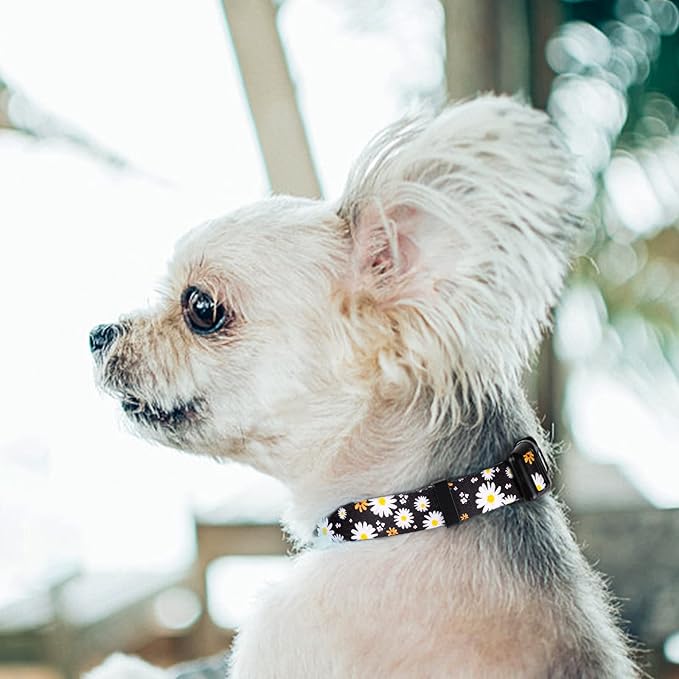 QQPETS Adjustable Soft Dog Collar: Print Flower Pink Multicolor Cute Patterns for XS Small Medium Large Pet Girl Boy Puppy Walking Running Training (XS, White Daisy)