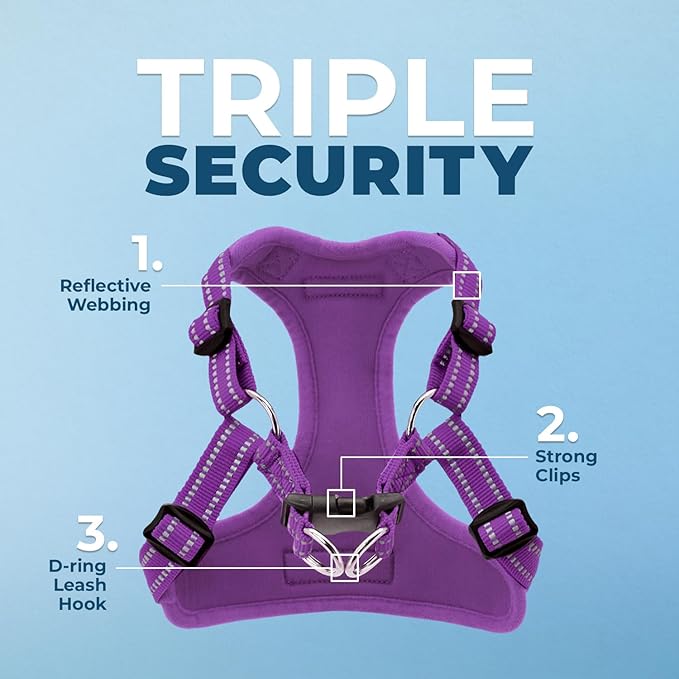 Best Pet Supplies Voyager Adjustable Step-in Flex Breathable Mesh Dog Harness for Small Medium Large Dogs (Purple), L