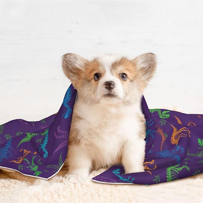 Pet Blanket for Couches and Beds, Cool Dinosaur Purple, Reversible Double Sided Plush Design with Soft Bumpy Texture and Smooth Surface, Furniture Protector