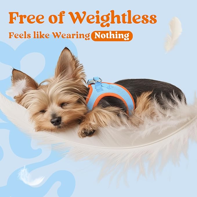 rabbitgoo Small Dog Harness, Step-in Soft Mesh Puppy Vest with Safety Buckle, Breathable Reflective Pet Harness for Extra Small Dogs, Blue & Orange XXXS